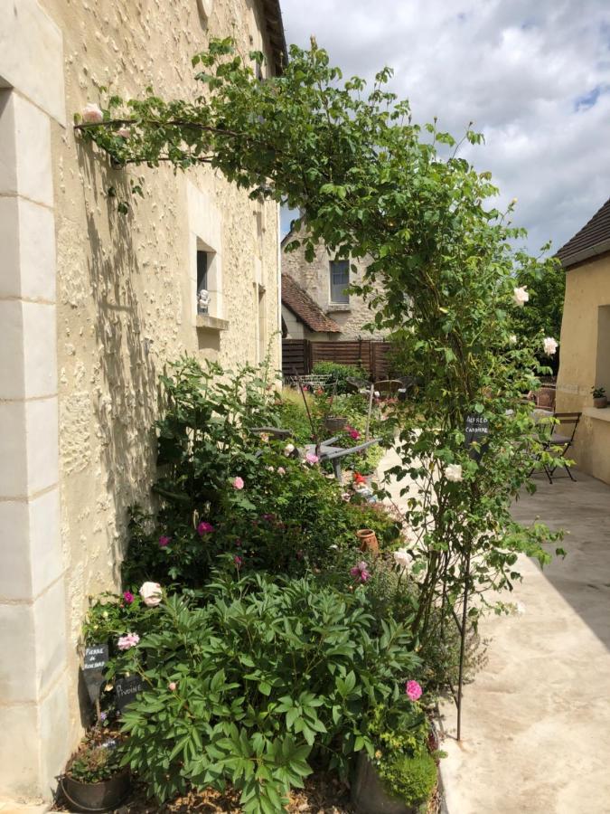 Les Chambres De L'Aigronne Le Petit-Pressigny Exterior photo